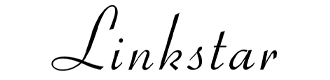 Linkstar Furniture logo